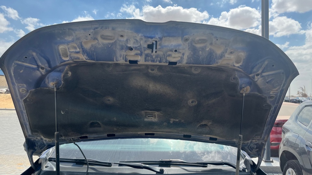 CAR HOOD