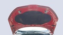 CAR HOOD