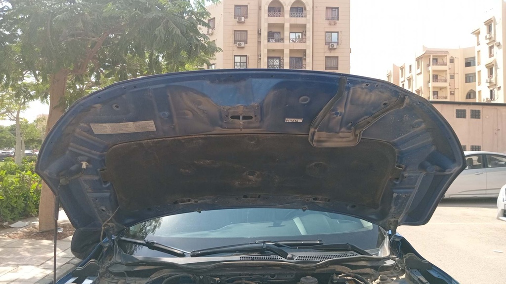 CAR HOOD