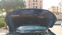 CAR HOOD