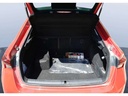 TRUNK