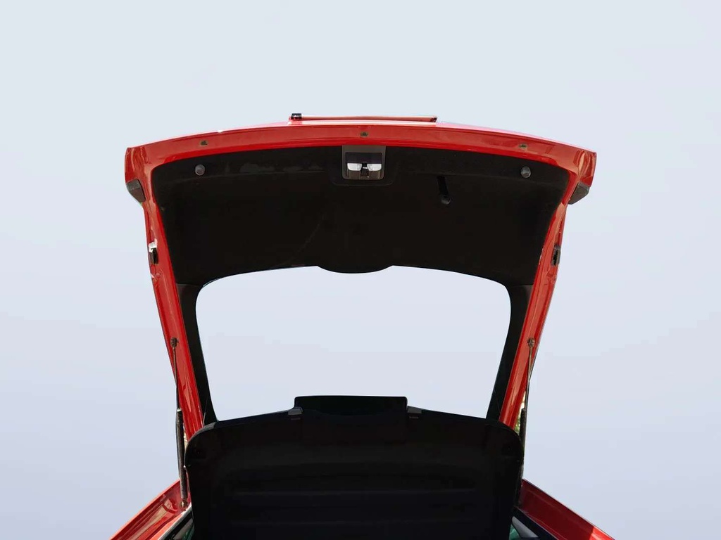 TRUNK HOOD