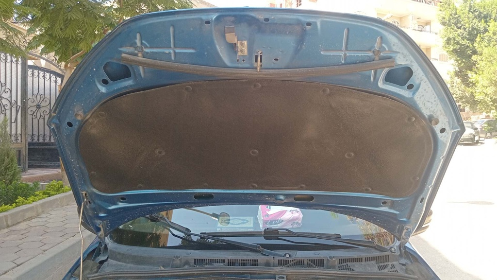 CAR HOOD
