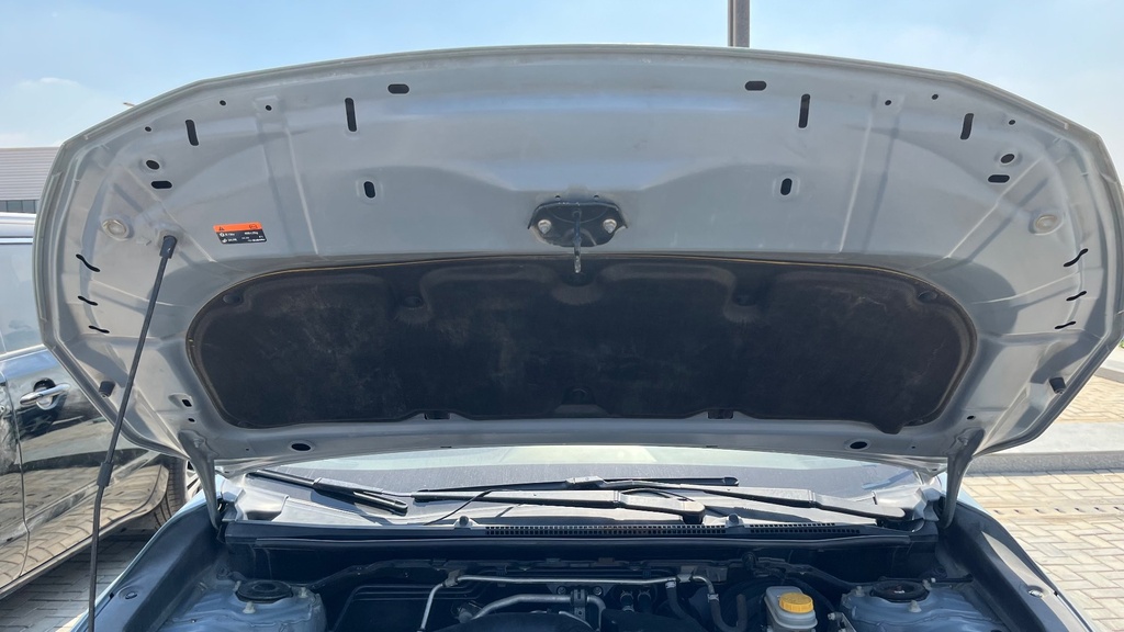 CAR HOOD