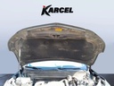 CAR HOOD
