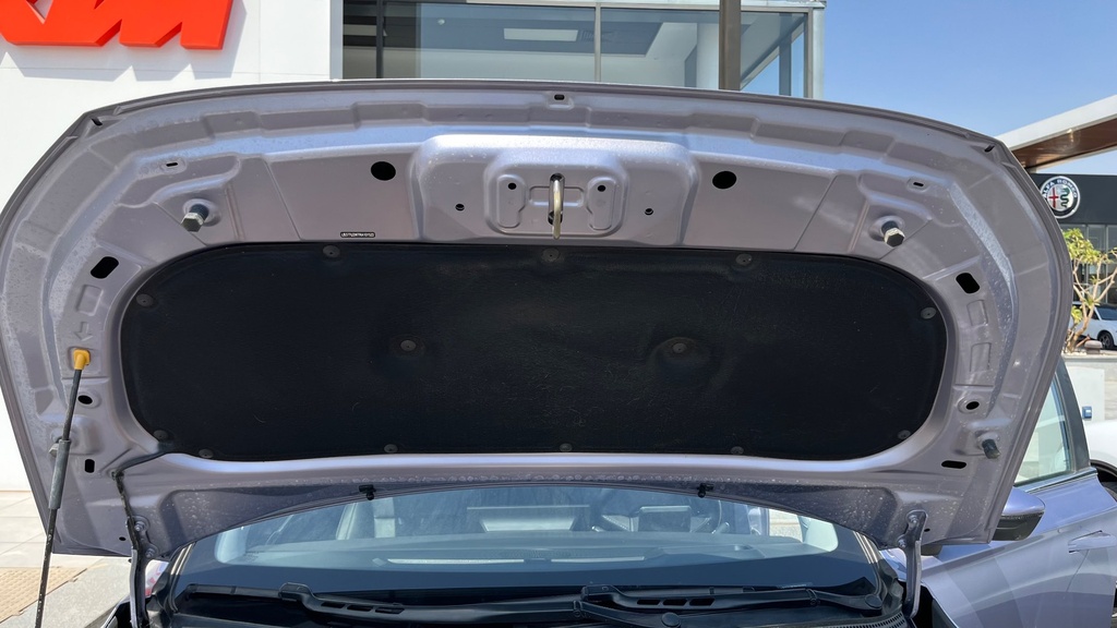 CAR HOOD