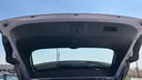 TRUNK HOOD