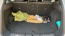 TRUNK