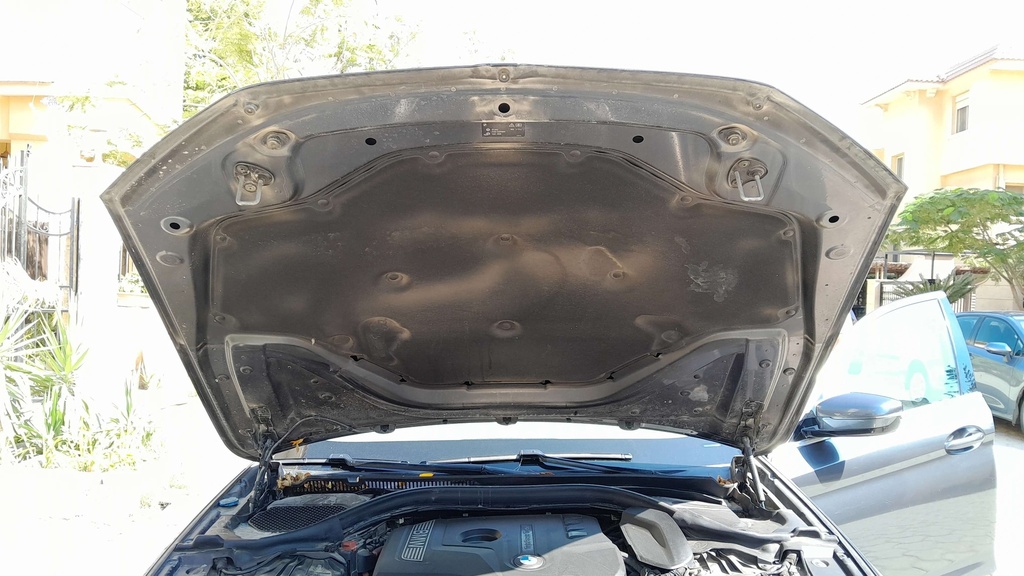 CAR HOOD