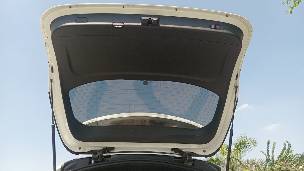 TRUNK HOOD