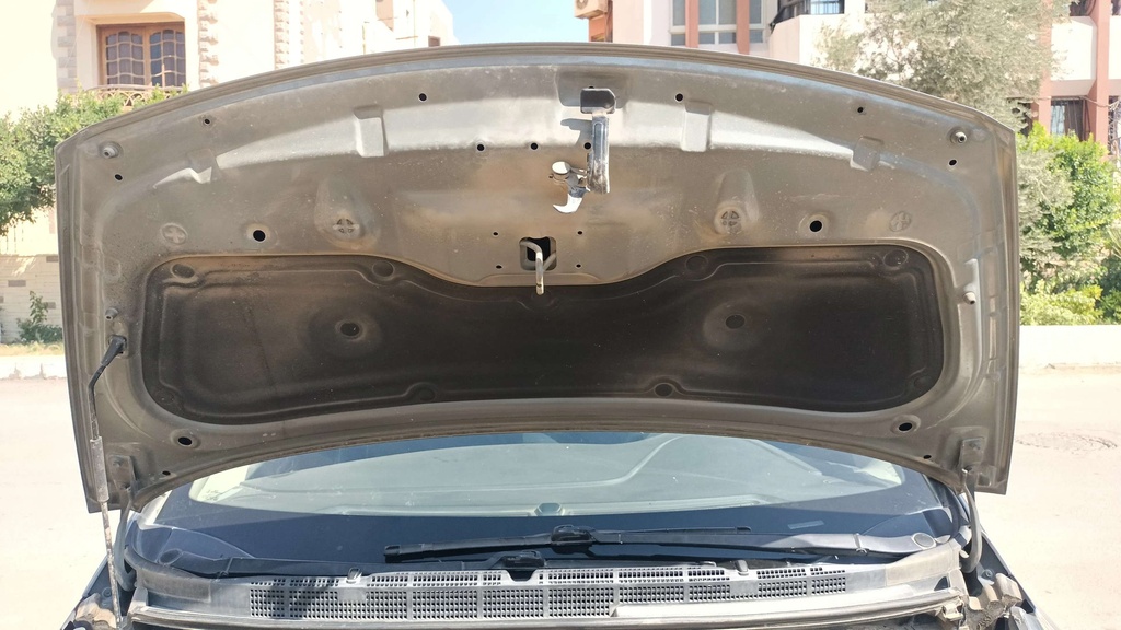 CAR HOOD