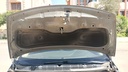 CAR HOOD