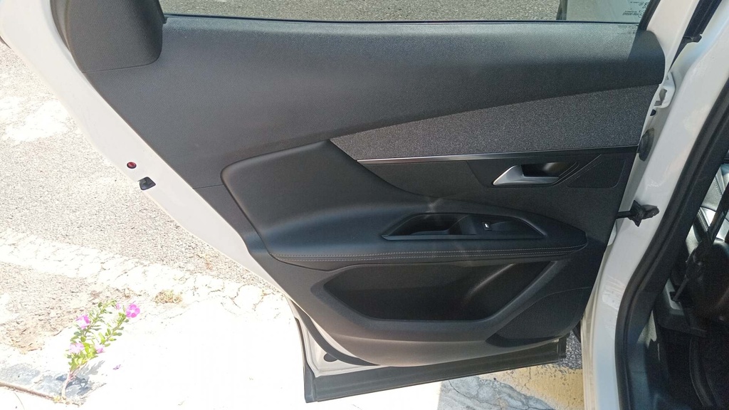 RR L DOOR