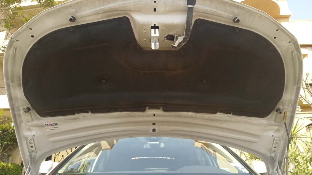 CAR HOOD