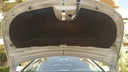 CAR HOOD