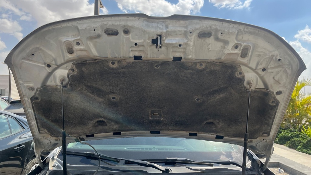 CAR HOOD