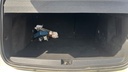 TRUNK