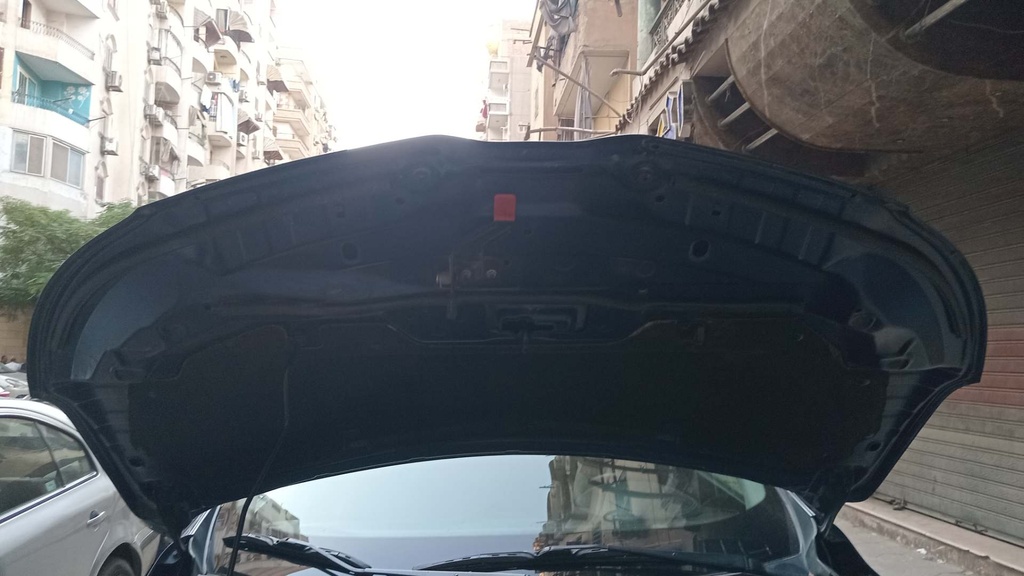 CAR HOOD
