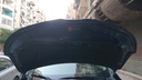 CAR HOOD