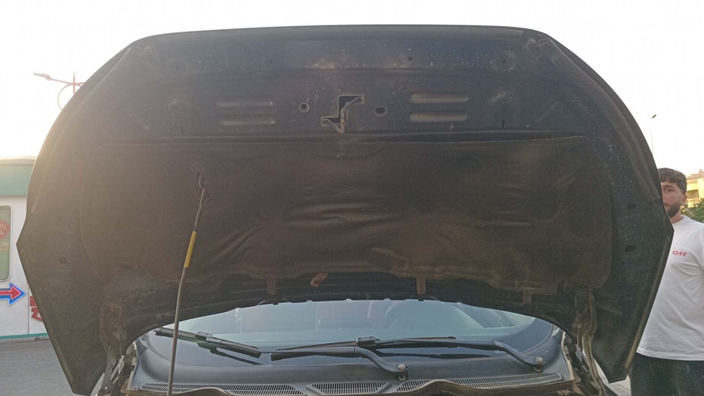 CAR HOOD