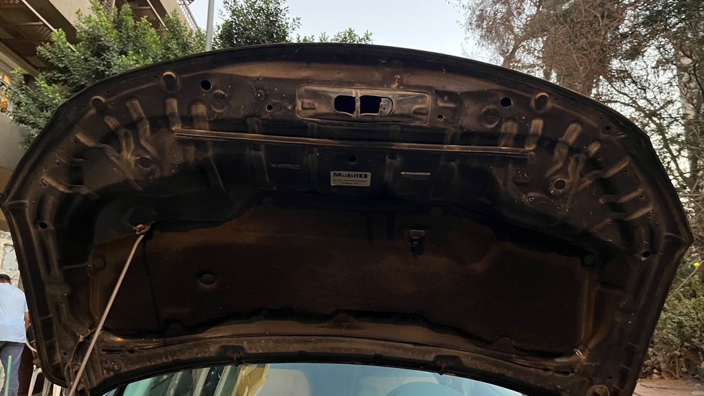 CAR HOOD