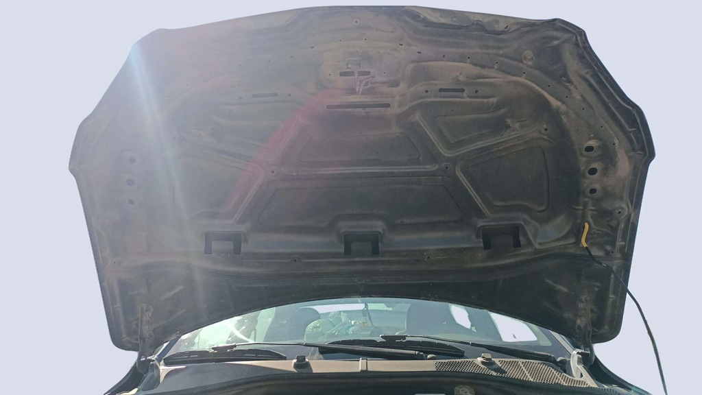CAR HOOD