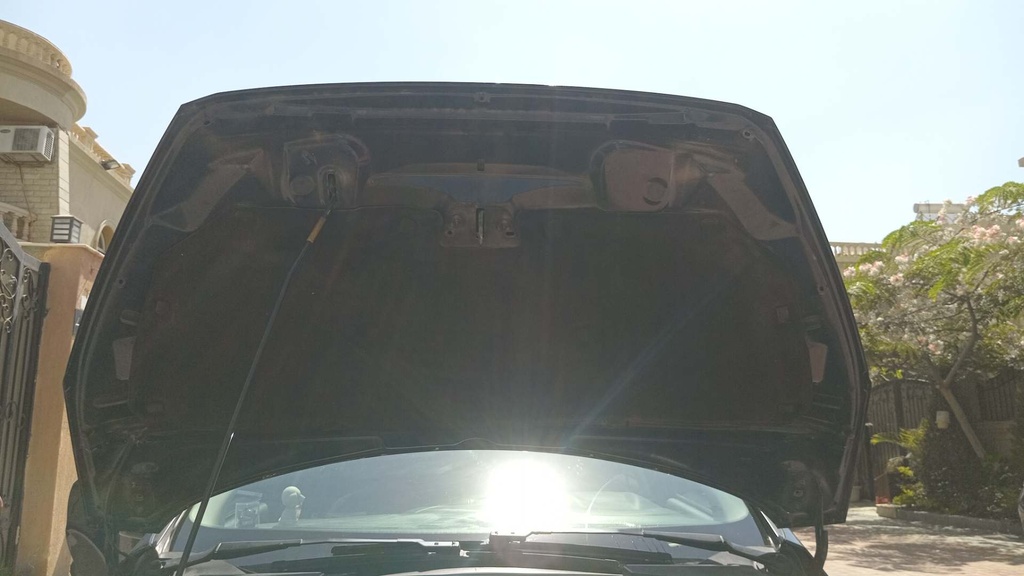 CAR HOOD