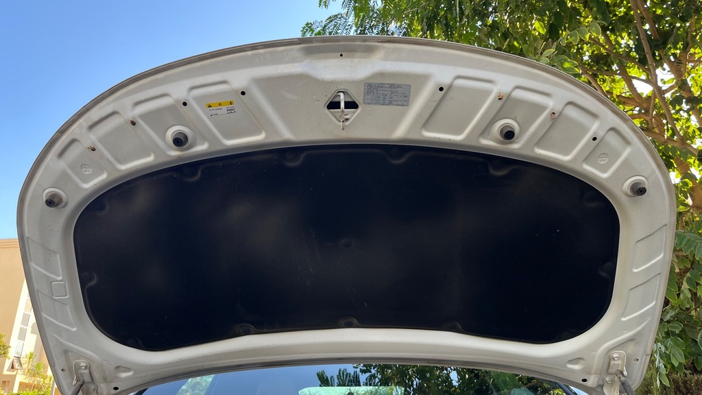 CAR HOOD