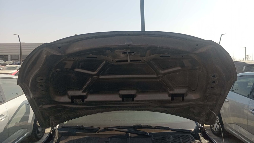 CAR HOOD