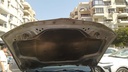 CAR HOOD