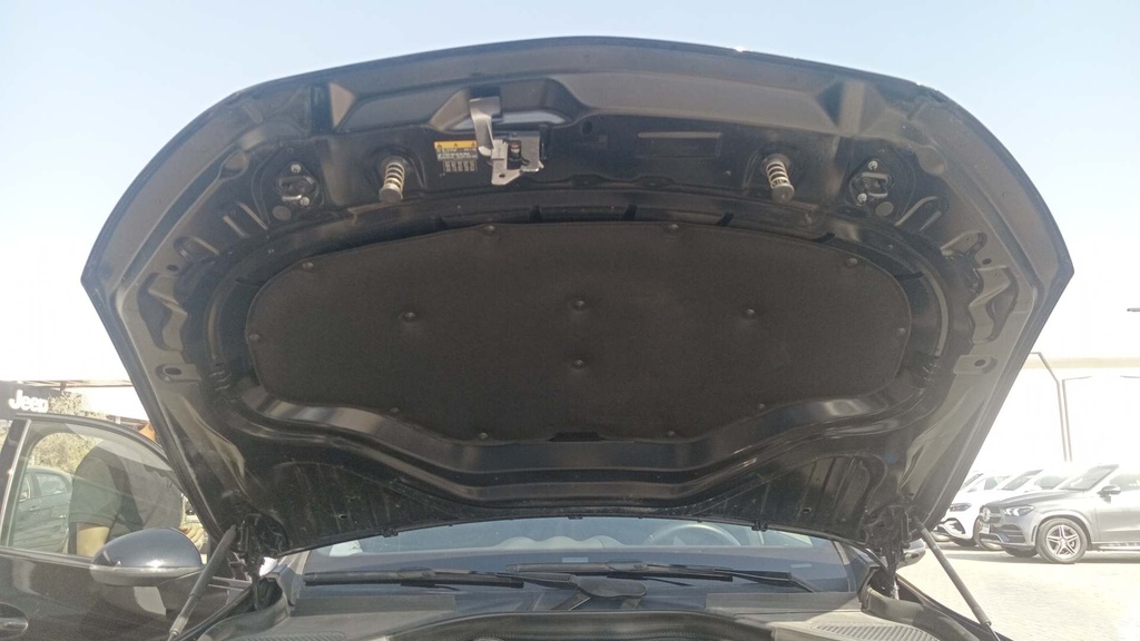 CAR HOOD