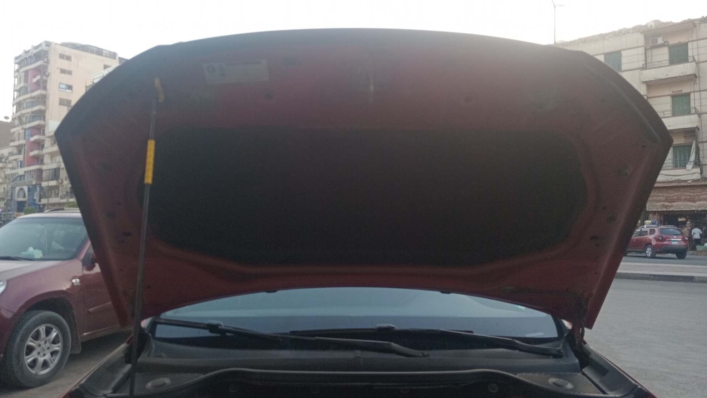 CAR HOOD