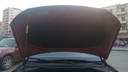 CAR HOOD