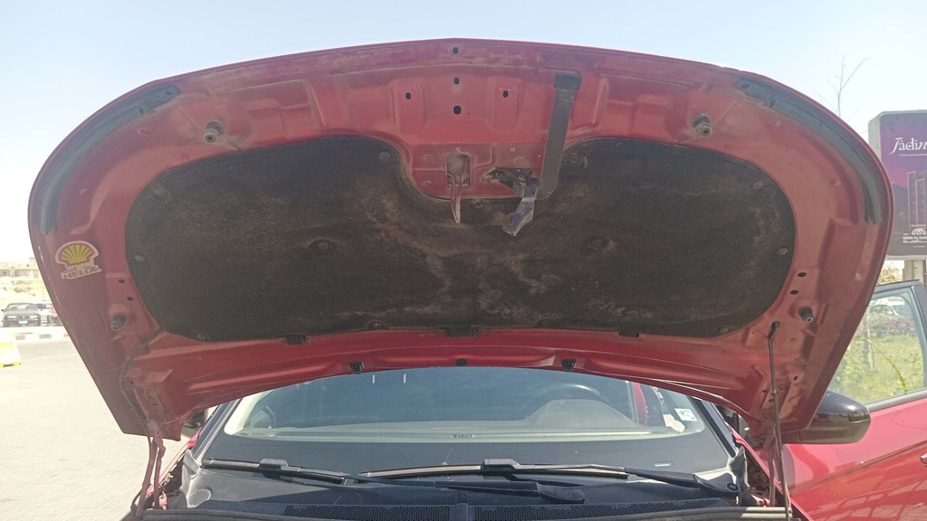 CAR HOOD