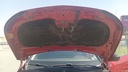 CAR HOOD