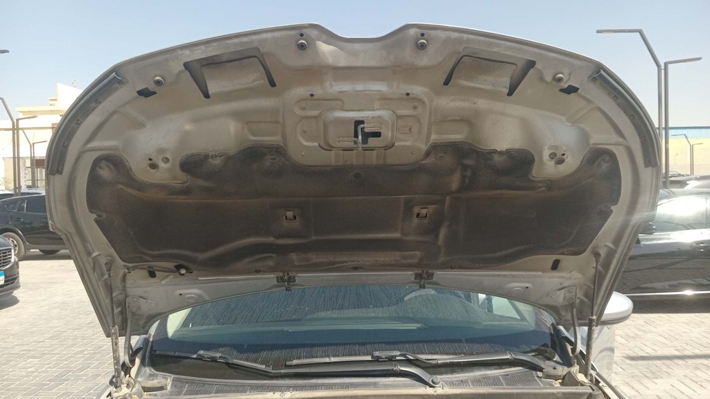 CAR HOOD
