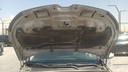 CAR HOOD