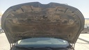 CAR HOOD