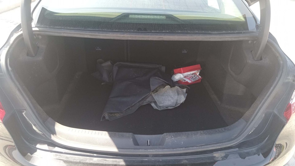 TRUNK