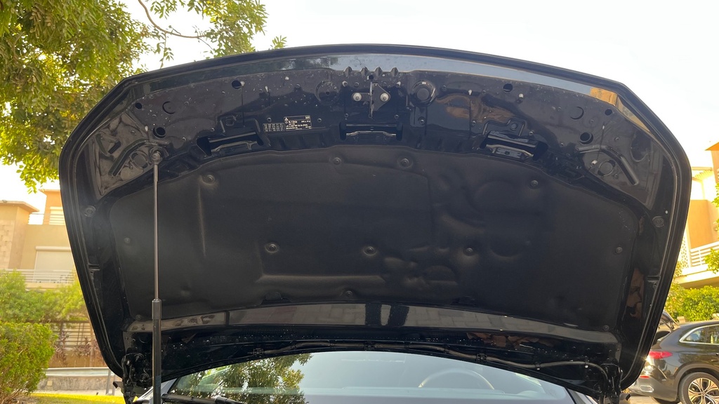 CAR HOOD