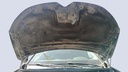 CAR HOOD