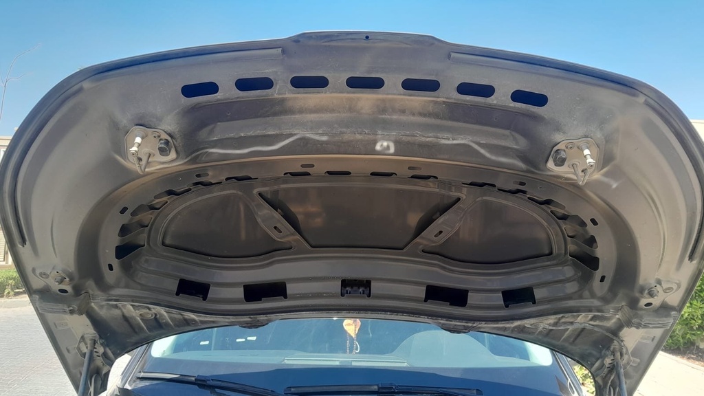 CAR HOOD