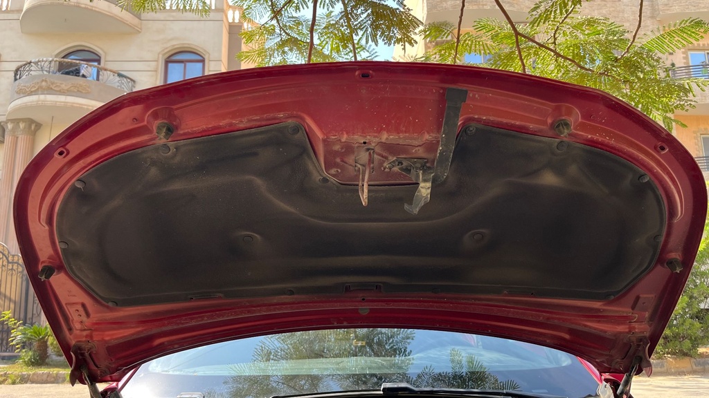 CAR HOOD