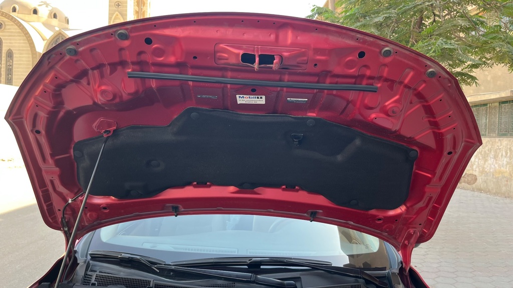 CAR HOOD