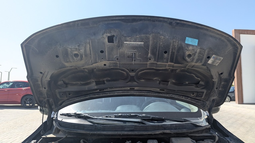 CAR HOOD