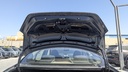 TRUNK HOOD