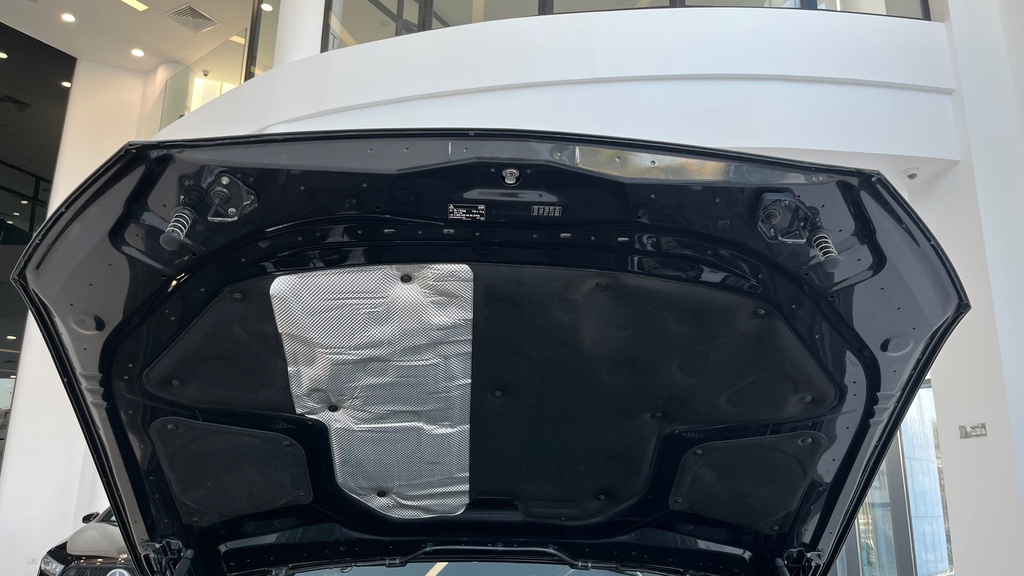 CAR HOOD