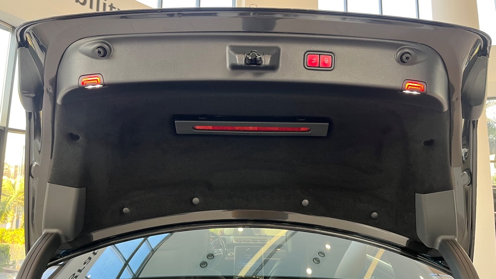 TRUNK HOOD