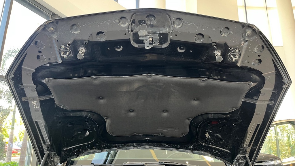 CAR HOOD