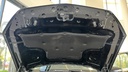 CAR HOOD